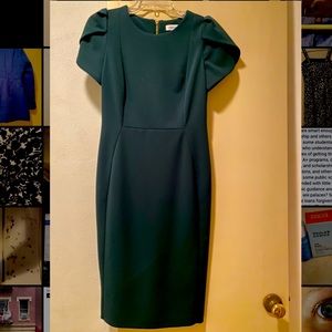 Forest green business professional dress.